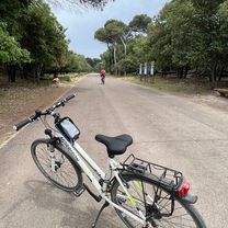 Via del Nugolaio 22, Cascina a Via del Nugolaio 22, Cascina