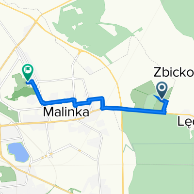 Droga bez nazwy do Pużaka 42C, Opole