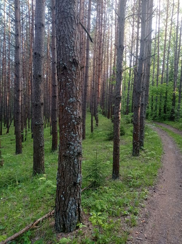 озеро Амур