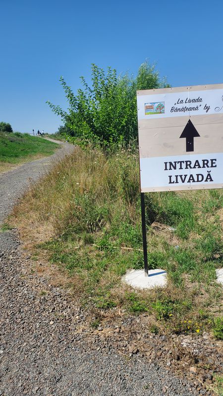 Bobda to Strada Principală nr. 271, Otelec,sanmihaiul roman, Sanmihaiul German,  Bobda
