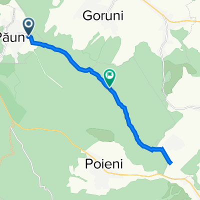 Traseu Bike Codrii Iasilor