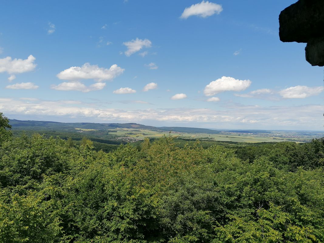 2. német