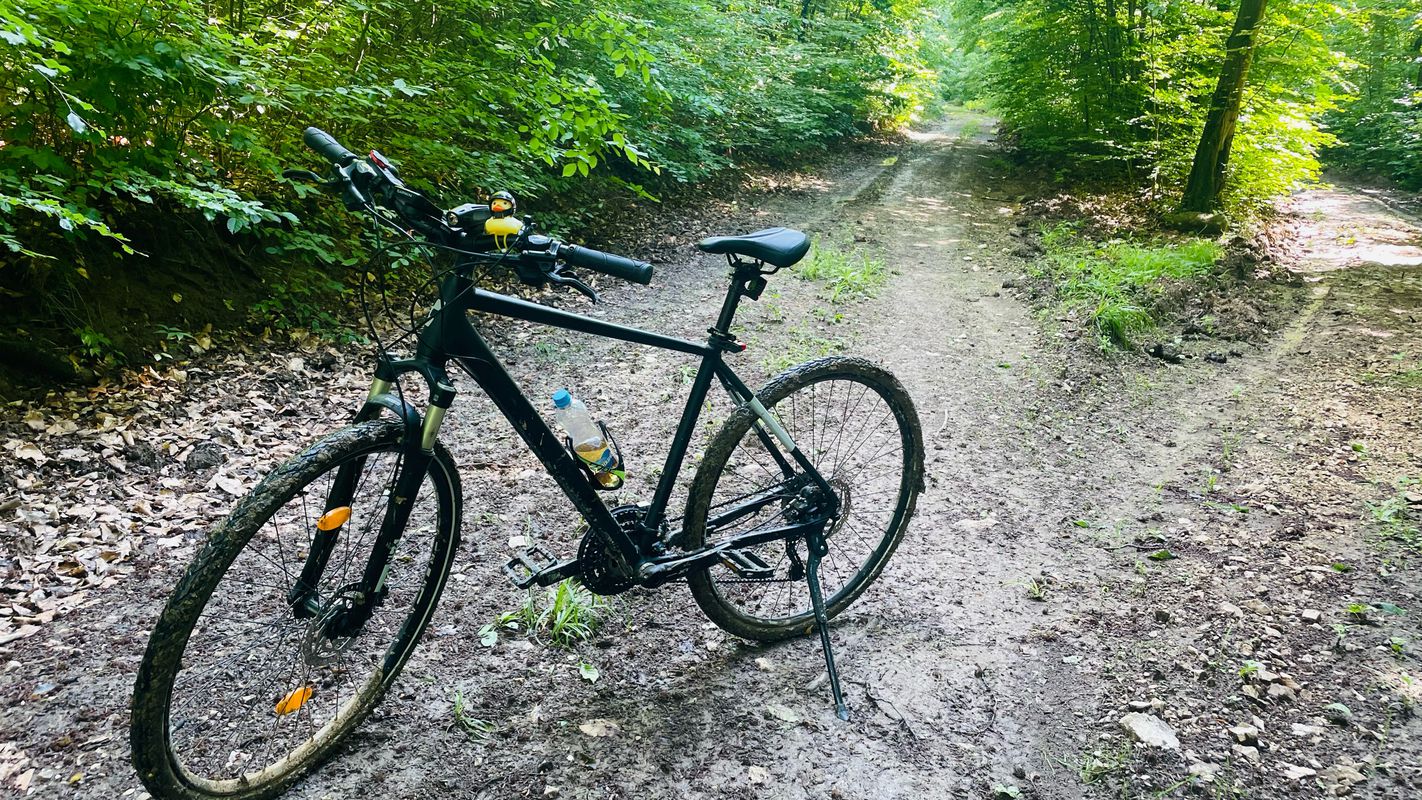 Bp-esztergom körút