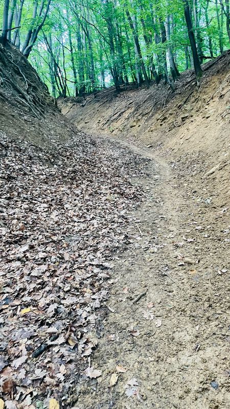 Bp-esztergom körút