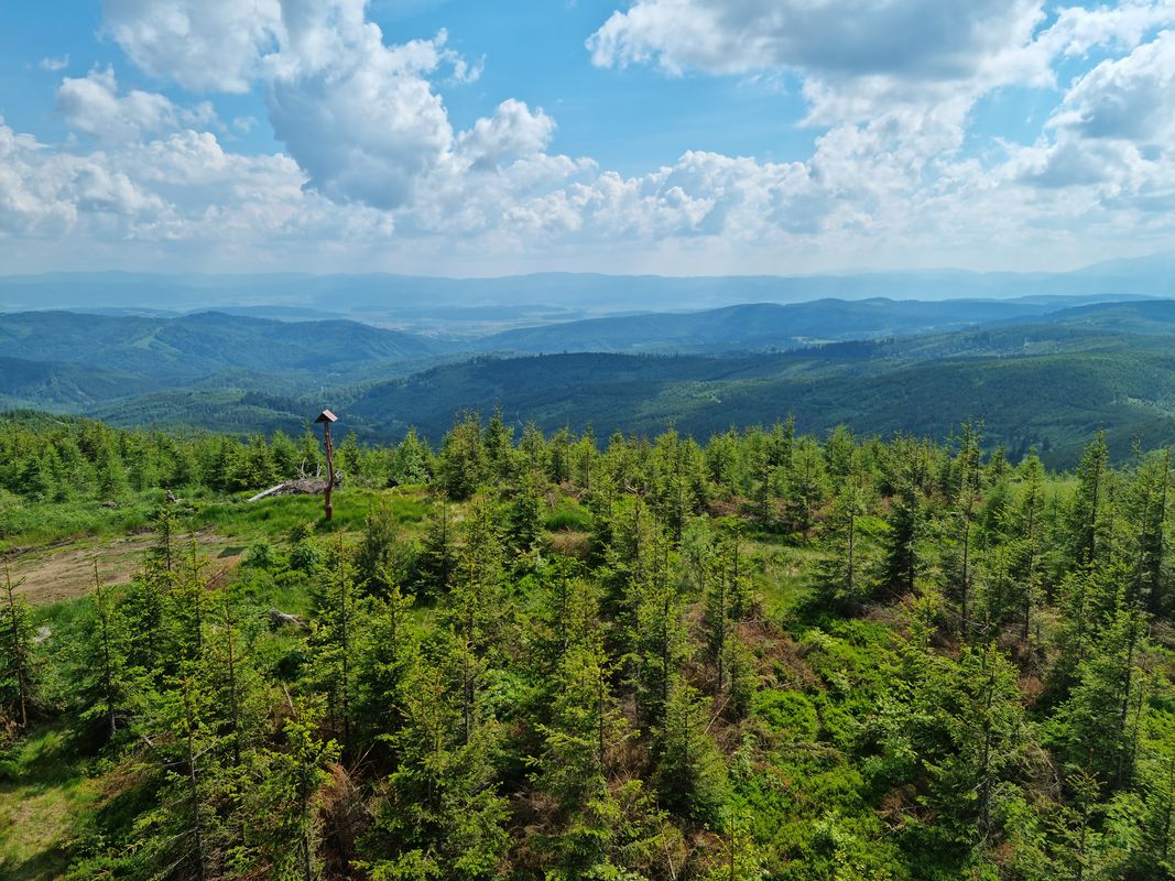 Brezovička do Brezovička