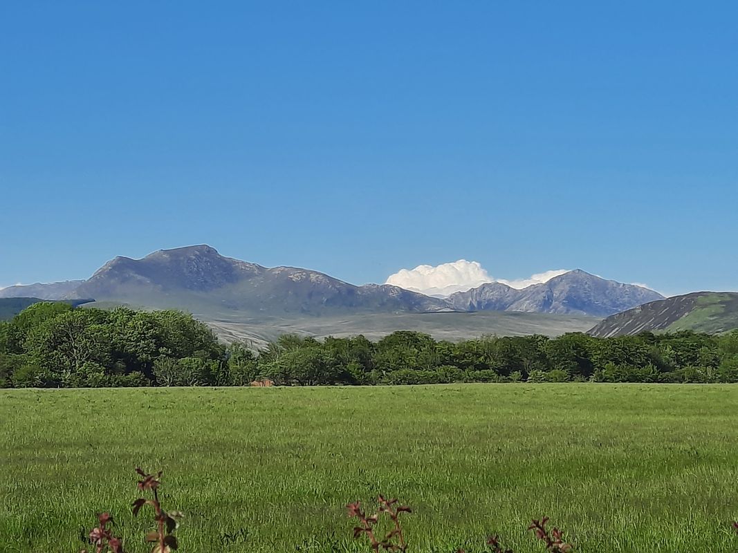 The String nach The String