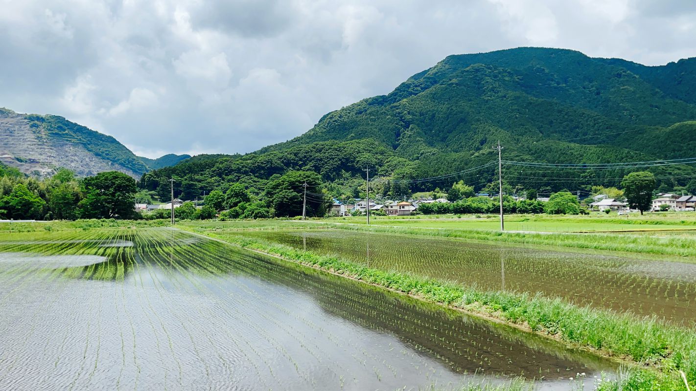 270, Shimonagano, Kanuma to 4-2, Yorozucho, Tochigi