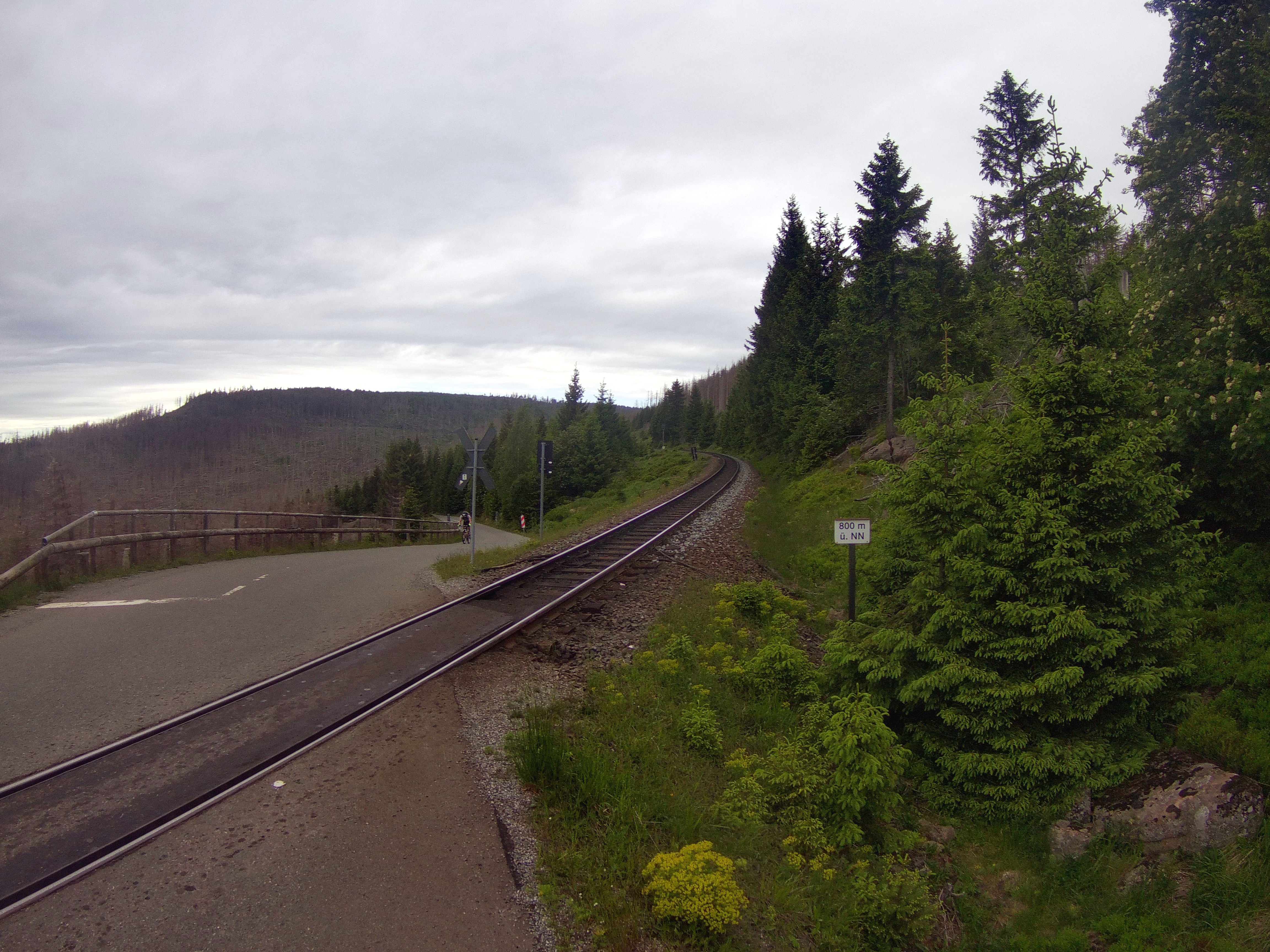 Wernigerode: Brocken rauf und runter