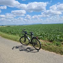 Foto 8 der Bikemap-Route "10.06.2022"
