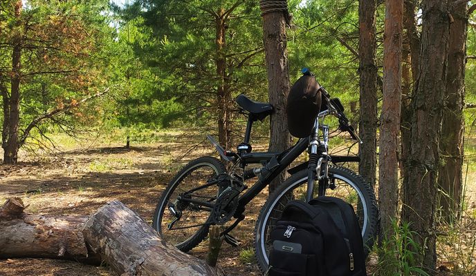 Photo 2 of the Bikemap route "Фефелов бор"