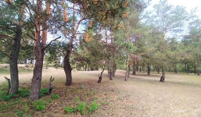 Photo 1 of the Bikemap route "Фефелов бор"