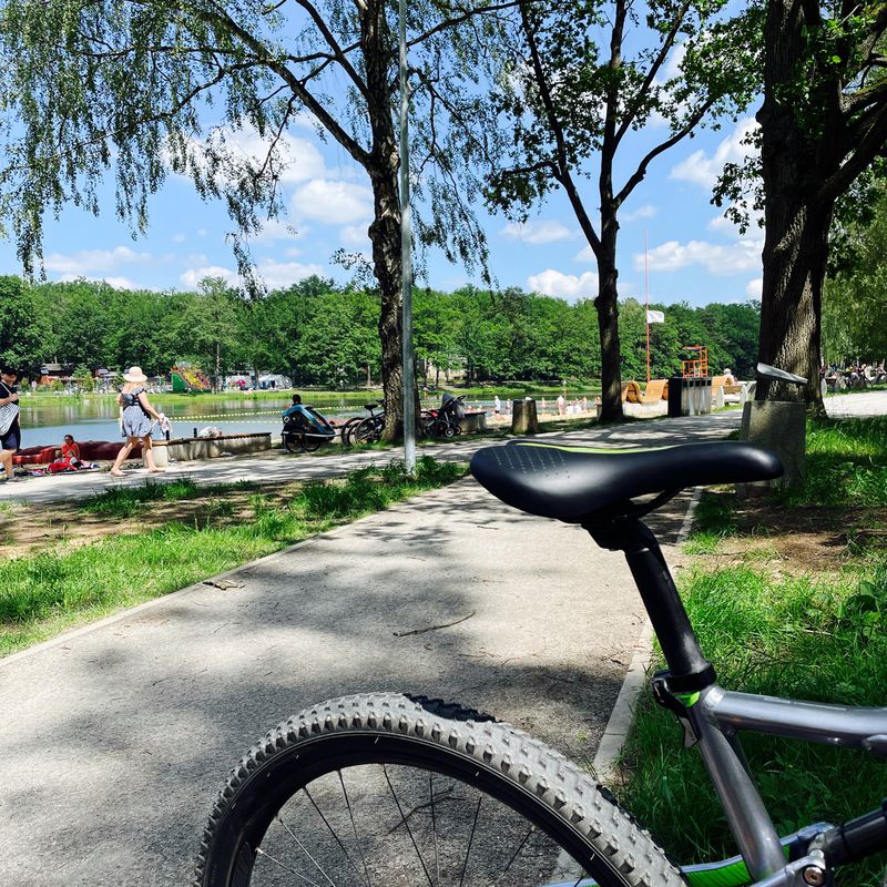 Generała Lucjana Żeligowskiego 46a, Łódź do Studencka 19, Łódź