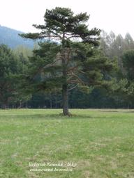 Highlight 4 along the Bikemap route "Podbreziny-ustie Žiar dol.-lúky-Konská-Benadiková-Podbreziny CLONED FROM ROUTE 975951" Highlight 4 along the Bikemap route "Podbreziny-ustie Žiar dol.-lúky-Konská-Benadiková-Podbreziny CLONED FROM ROUTE 975951"