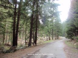 Highlight 1 along the Bikemap route "Podbreziny-ustie Žiar dol.-lúky-Konská-Benadiková-Podbreziny CLONED FROM ROUTE 975951" Highlight 1 along the Bikemap route "Podbreziny-ustie Žiar dol.-lúky-Konská-Benadiková-Podbreziny CLONED FROM ROUTE 975951"