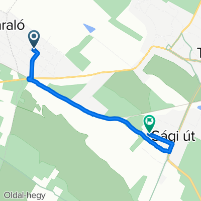 Aradi út 25, Tápiószecső - Váczi Mihály utca 37, Tápiószecső