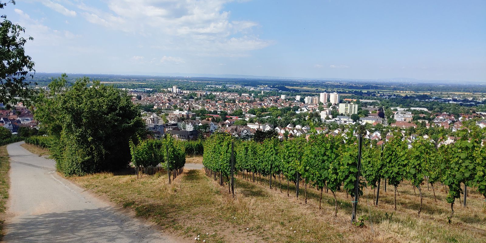 Lundgreenstraße 24, Bickenbach nach Lundgreenstraße 11, Bickenbach