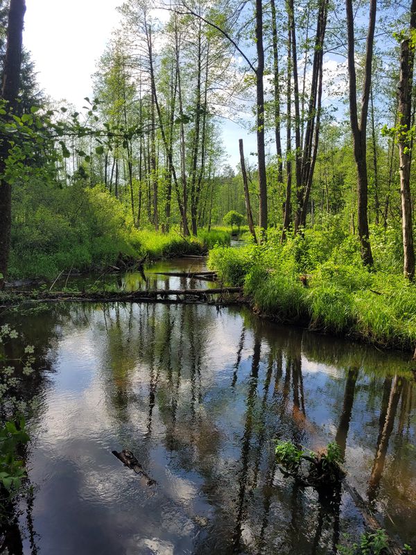 Ponikla, Kopisk, Wasilków
