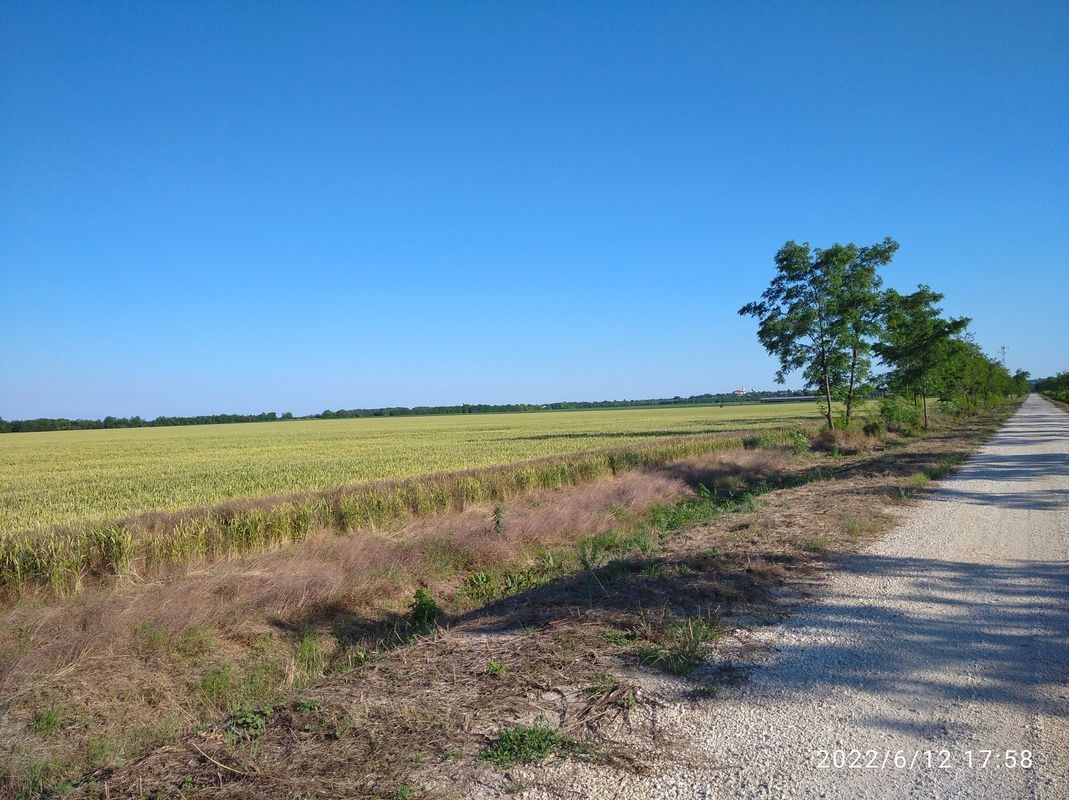 biciklizés a Barátommal pt.2