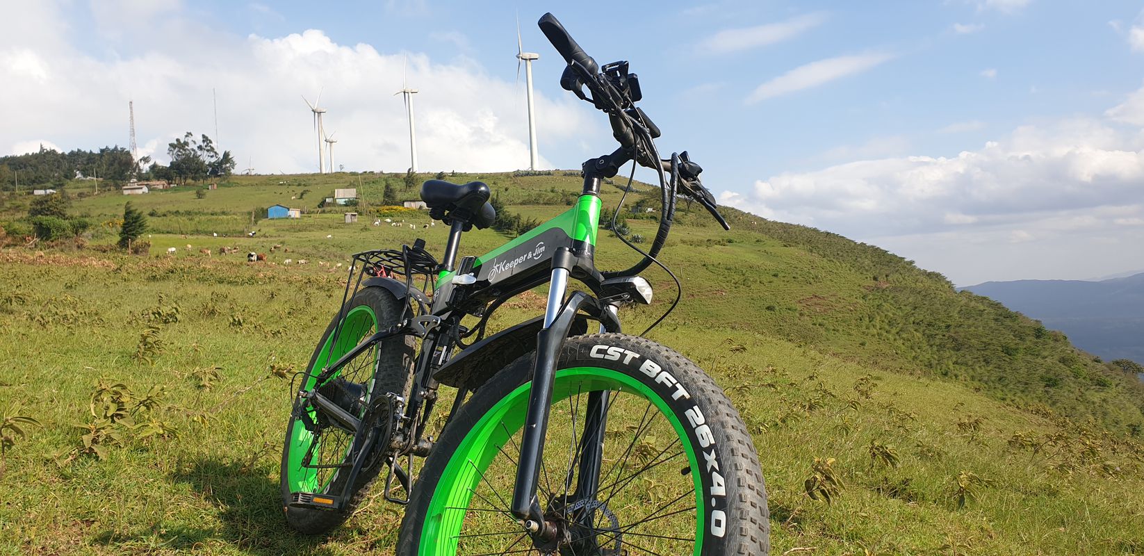 The Blasto trail