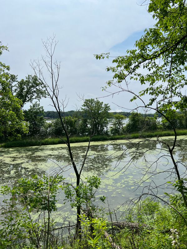 Herritage Bluff to McKinley Woods and Back
