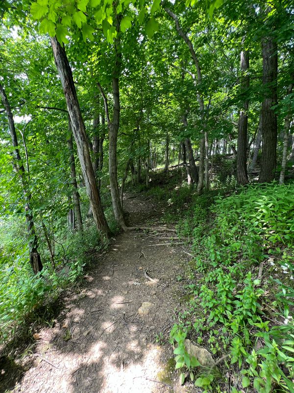 Herritage Bluff to McKinley Woods and Back