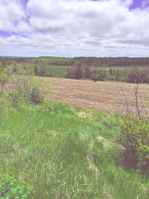 425 r eRd, e Valley to w Collegewww St, r