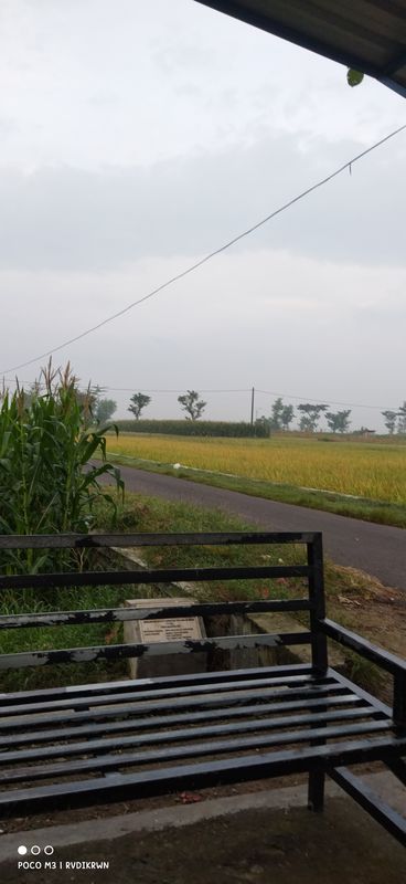 2F94+FXG, Kecamatan Bungkal to Jalan Tanjung Desa, Kecamatan Bungkal