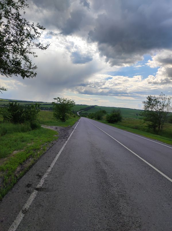От Р194 до улица Орджоникидзе 72, Девица (семилукский)