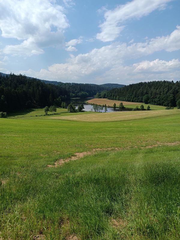 chamerau nach Kötzting zum Höllsteinsee und zurück nach Chamerau