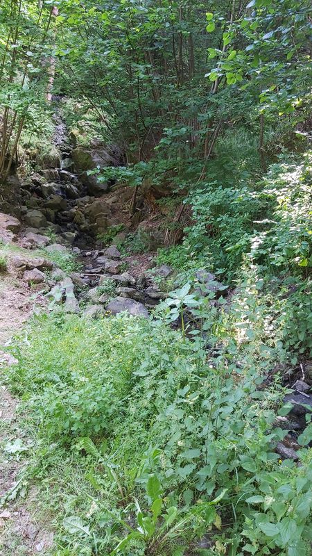 Feisnitz-Stausee - Gsteinigt