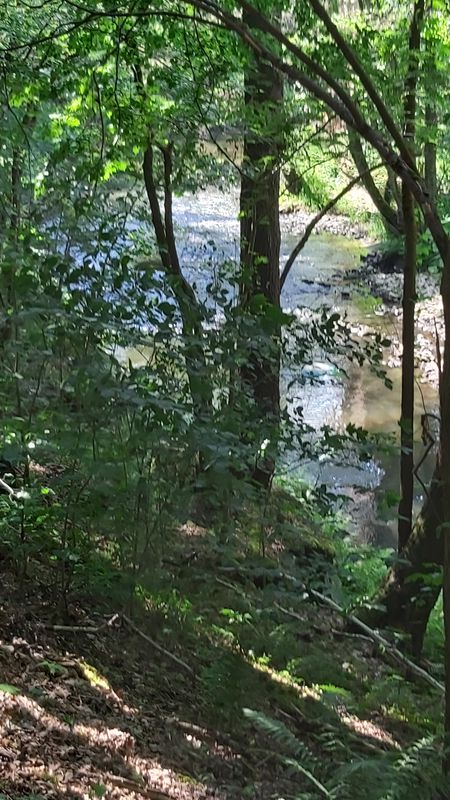 Feisnitz-Stausee - Gsteinigt