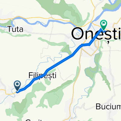 DN11 73, Bogdănești to Strada Doctor Victor Babeș 3, Onești