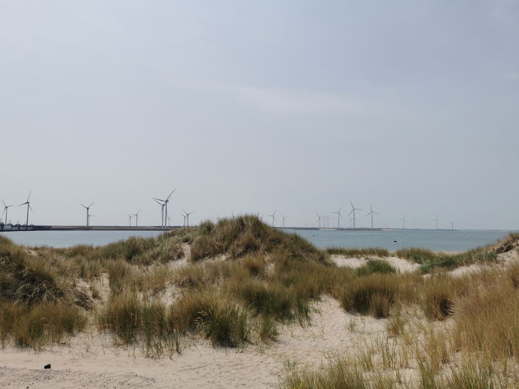 Renesse - Burgh Haamstede - Naturpark