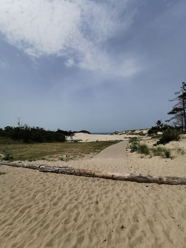 Renesse - Burgh Haamstede - Naturpark