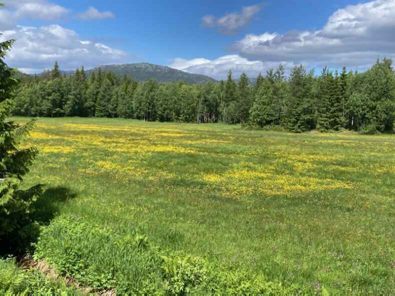 Aasmund Nordgaards veg 6 to Aasmund Nordgaards veg 12