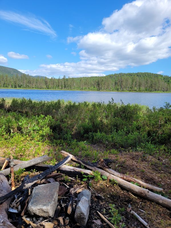 Aasmund Nordgaards veg 6 to Aasmund Nordgaards veg 12