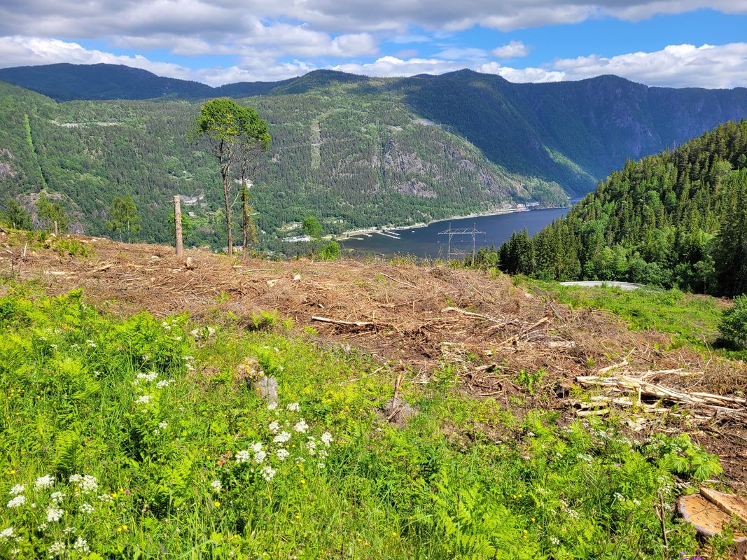 Aasmund Nordgaards veg 6 to Aasmund Nordgaards veg 12