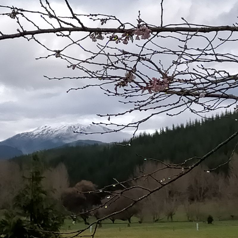Cycle trail, Quail Valley, 88 Valley
