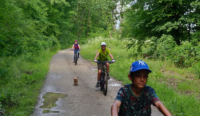 Photo 1 of the Bikemap route "Zimbraria Neagra"