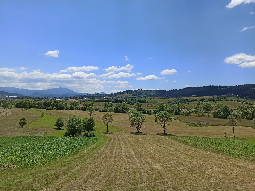 Dobârlău, Intorsura Buzaului