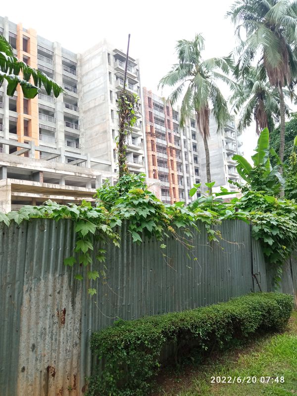 Jagannath Hall Inside Road, Dhaka to Jagannath Hall Inside Road, Dhaka