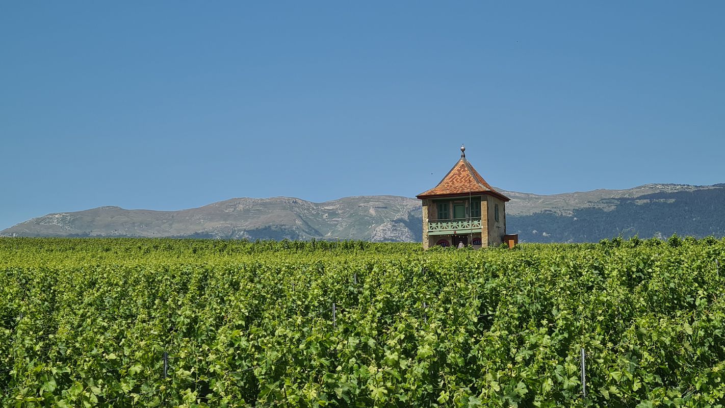 Allee des Ormes 32, Saint-Genis-Pouilly to Allee des Ormes 32, Saint-Genis-Pouilly