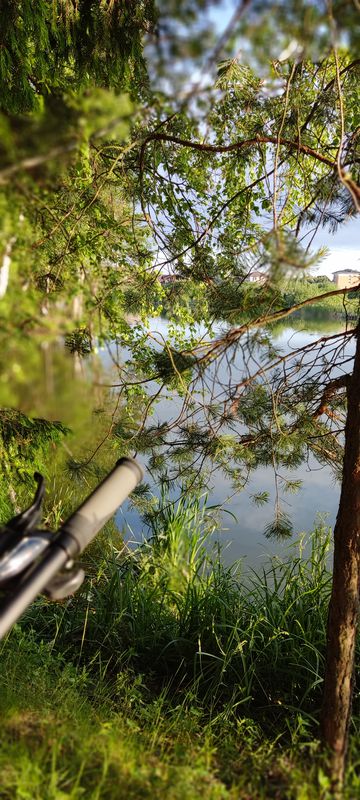 От Петровское Большое до Петровское Большое