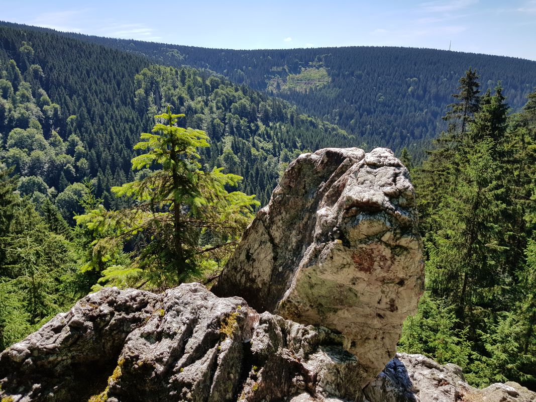 Waldstraße 1, Eisfeld nach Waldstraße 1, Eisfeld