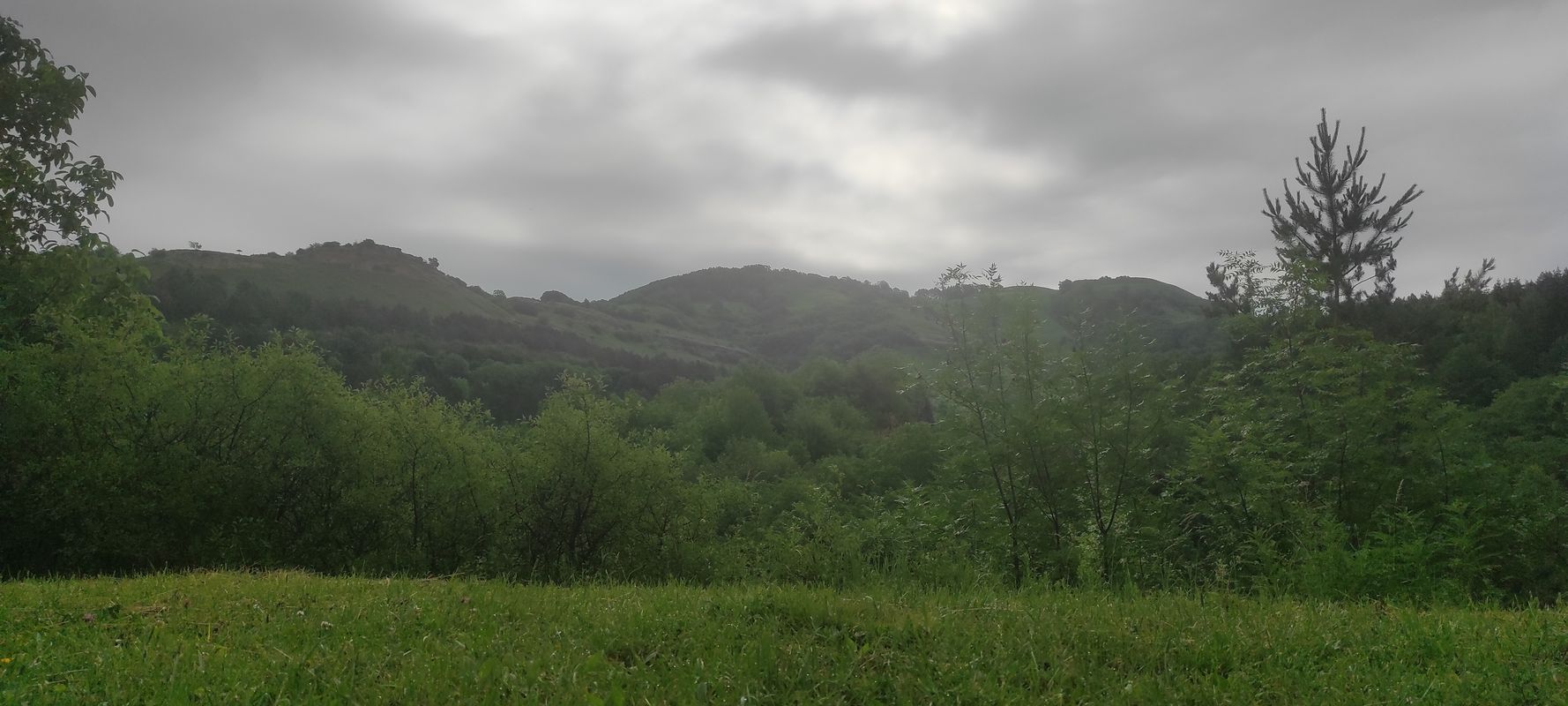 От улица Гагарина 84, Кисловодск до улица Гагарина 84, Кисловодск