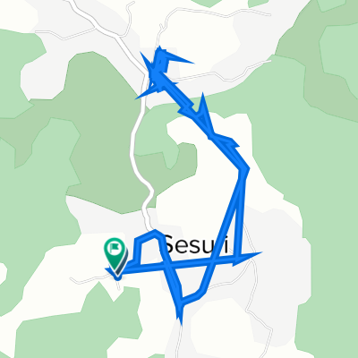 DC18, Șesuri to DC18, Șesuri