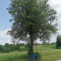 Slunj - kad bedaku daš pecikljin