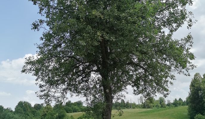 Foto 1 del percorso Bikemap "Slunj - kad bedaku daš pecikljin" Foto 1 del percorso Bikemap "Slunj - kad bedaku daš pecikljin"