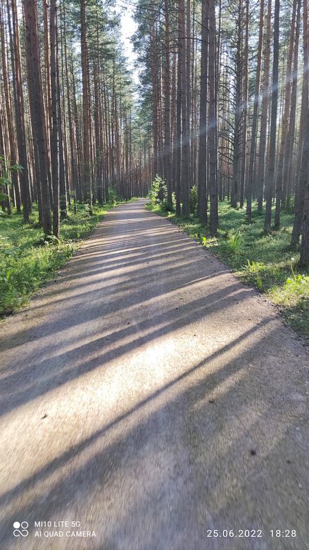 по стопам Владимира Ильича