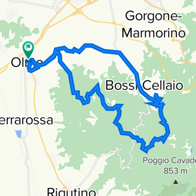 Olmo 258, Arezzo a Olmo 258, Arezzo